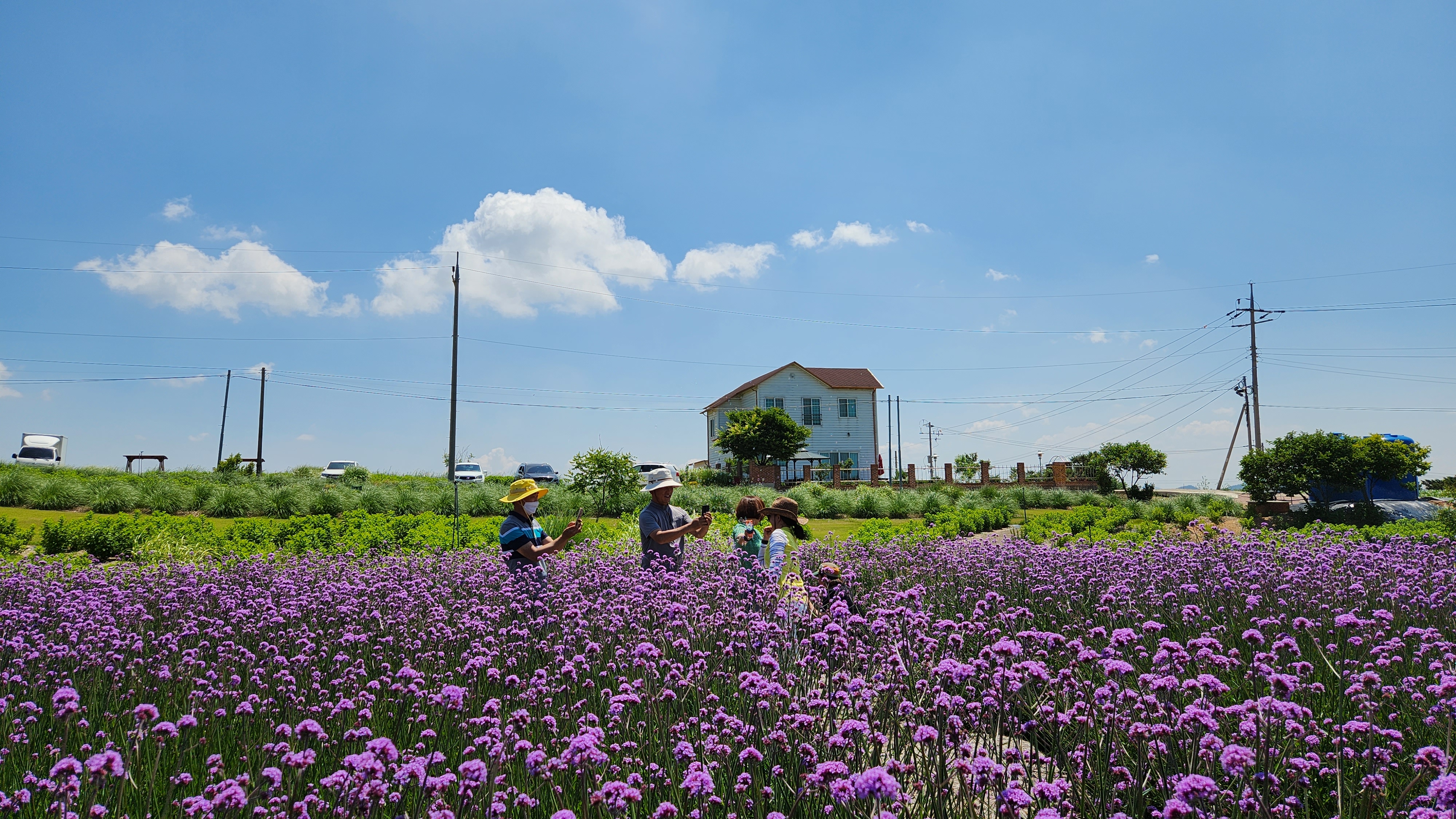 손불 안악 "해름愛언덕"