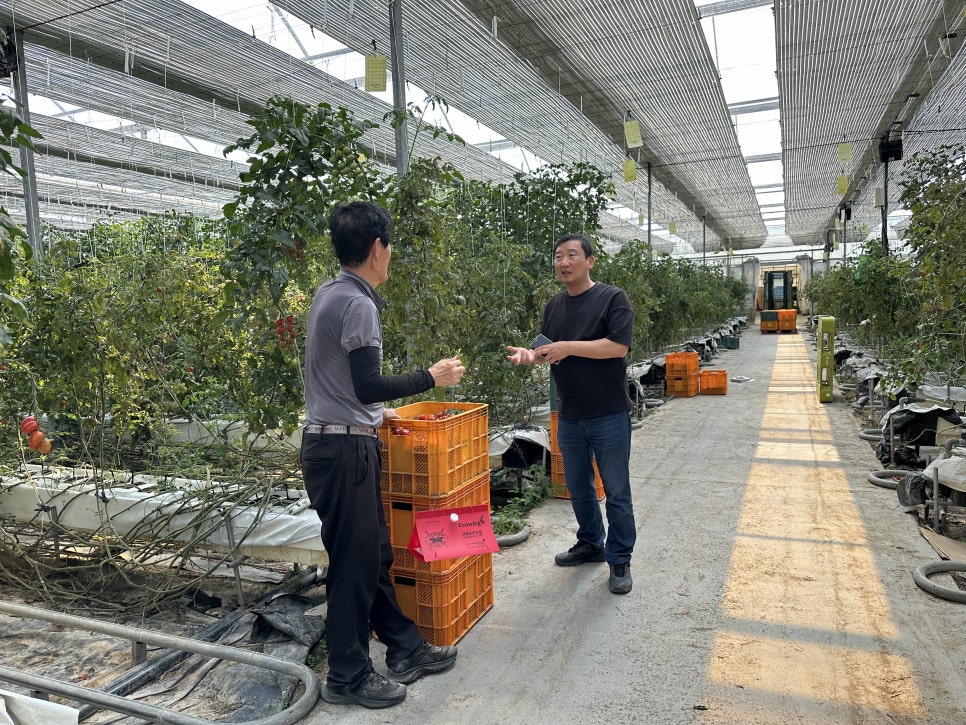 뿔나방 방제교육