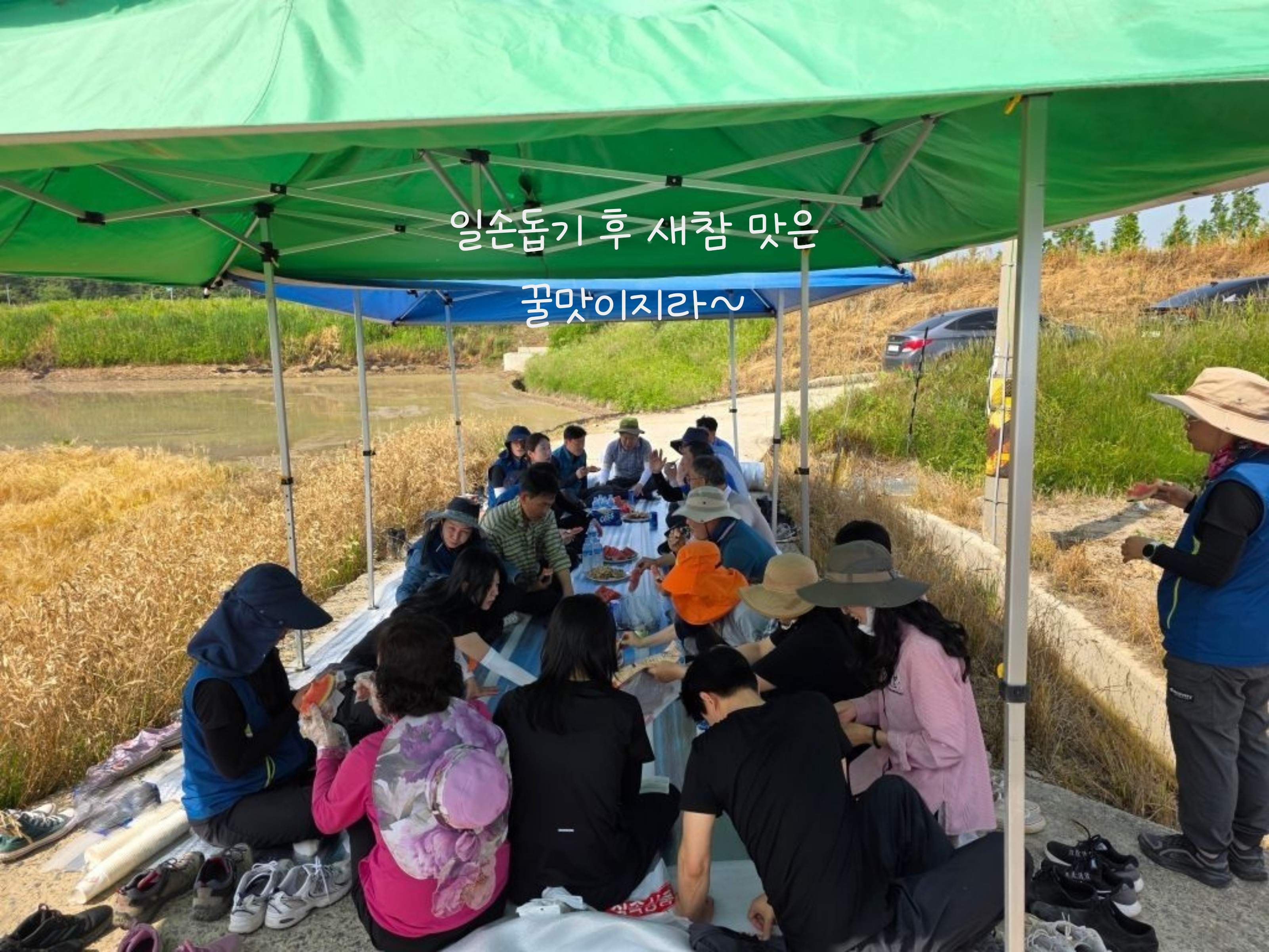 농번기철 농업기술센터 전직원 양파 일손돕기 떠~나요~