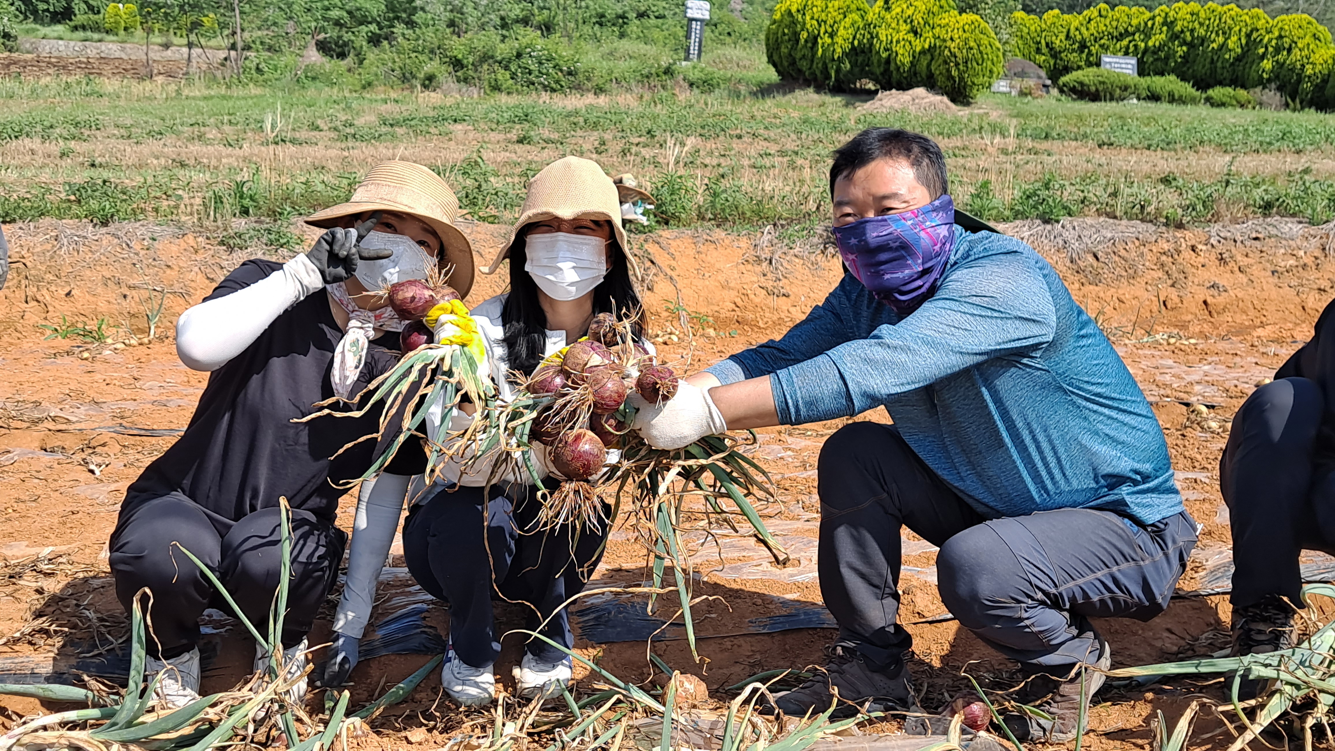 센터 직원 영농철 농촌일손돕기