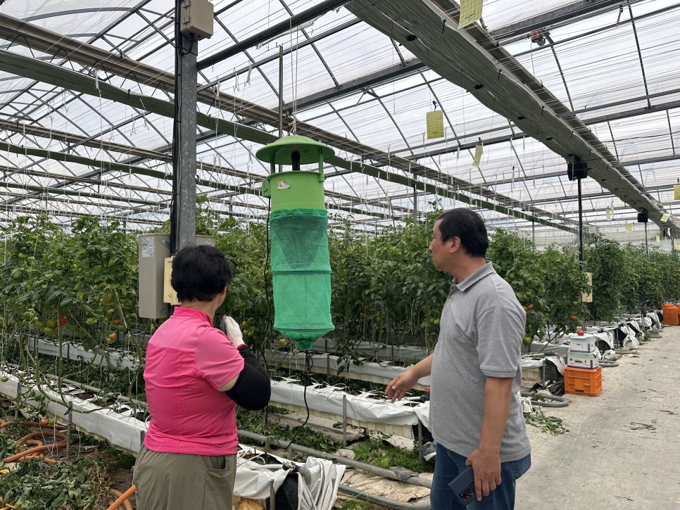 뿔나방 방제교육