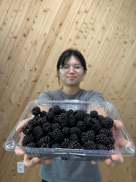 영상 똥손탈출 영상편집 교육 인기