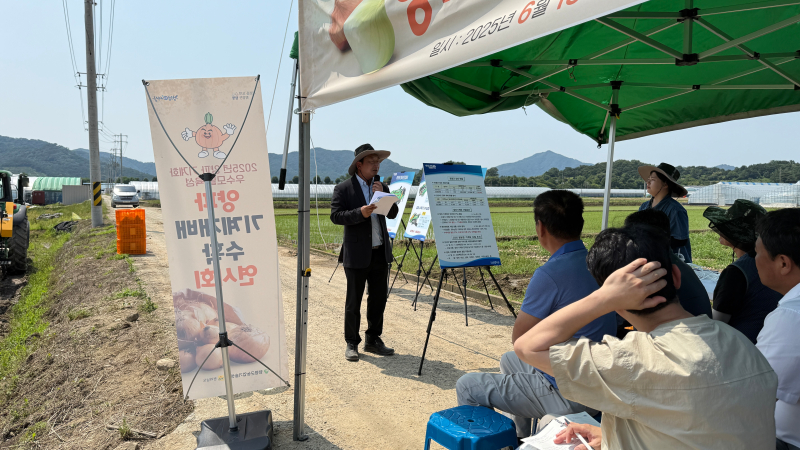 양파 기계재배 수확 연시회