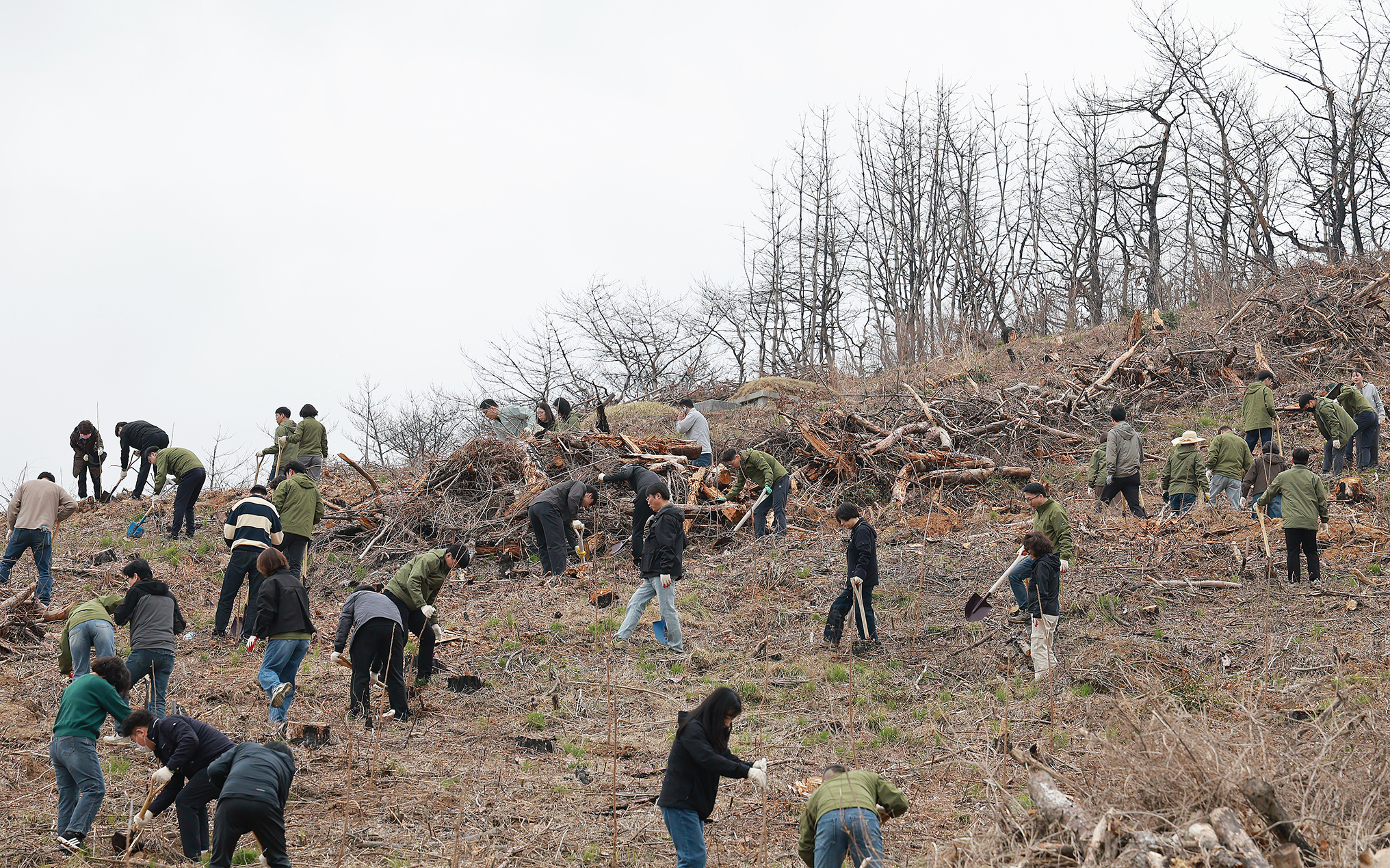 함평군, 제81회 식목일 맞아 산불 피해지 나무심기 행사 성료