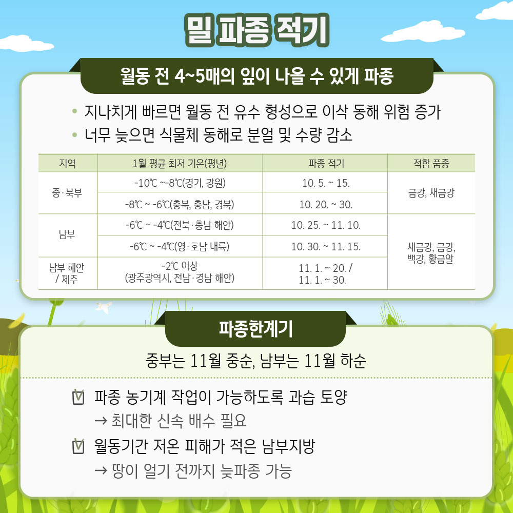 맥류 늦파종(만파) 재배기술