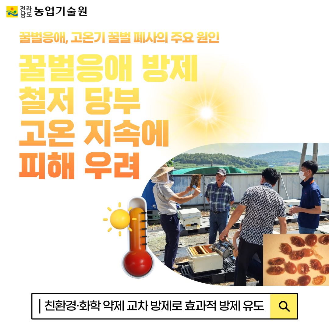 꿀벌응애 방제 철저 당부 고온 지속에 피해 우려