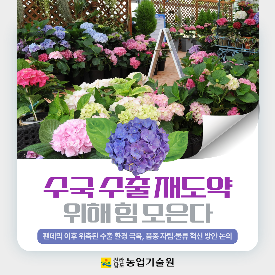 수국 수출 재도약 위해 힘 모은다