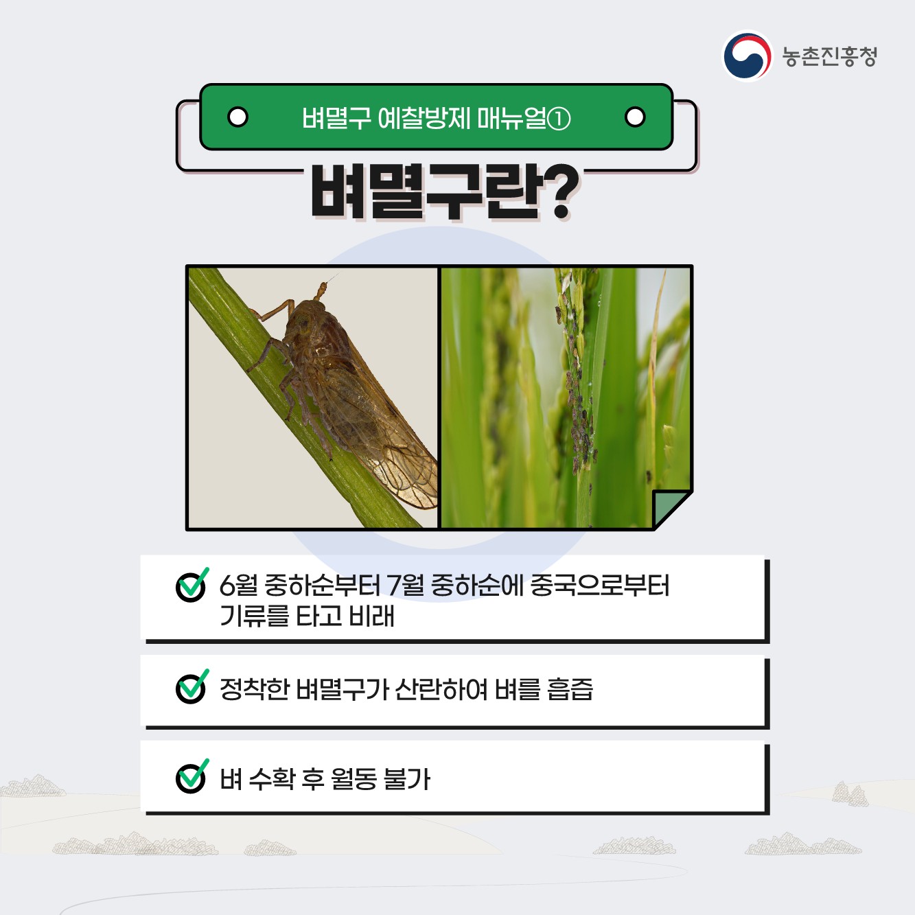 벼멸구 예방 농업인 준수사항