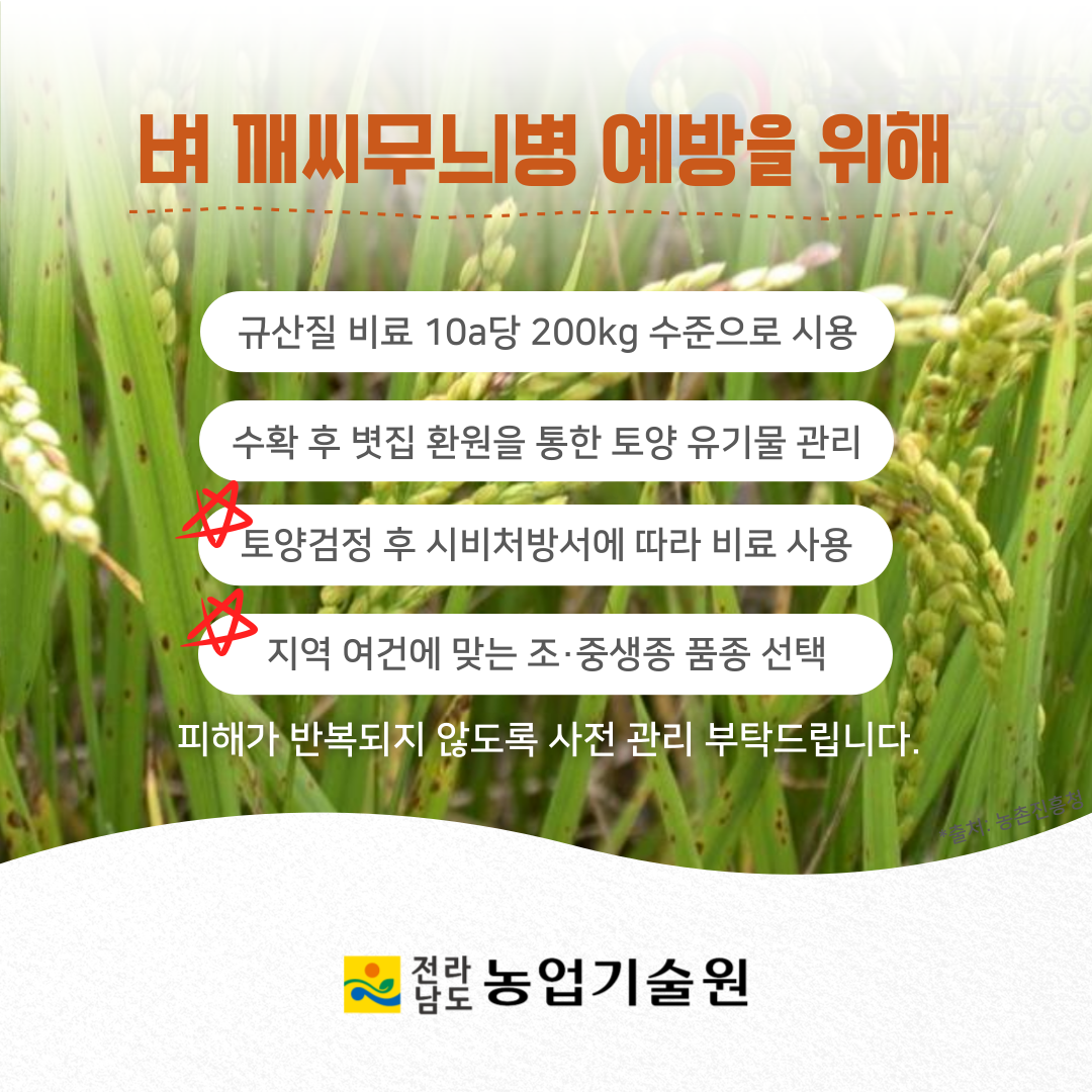 벼 깨씨무늬병 토양검정으로 재발 막는다