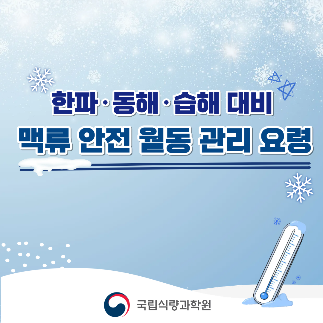 한파·동해·습해 대비 맥류 안전 월동 관리 요령