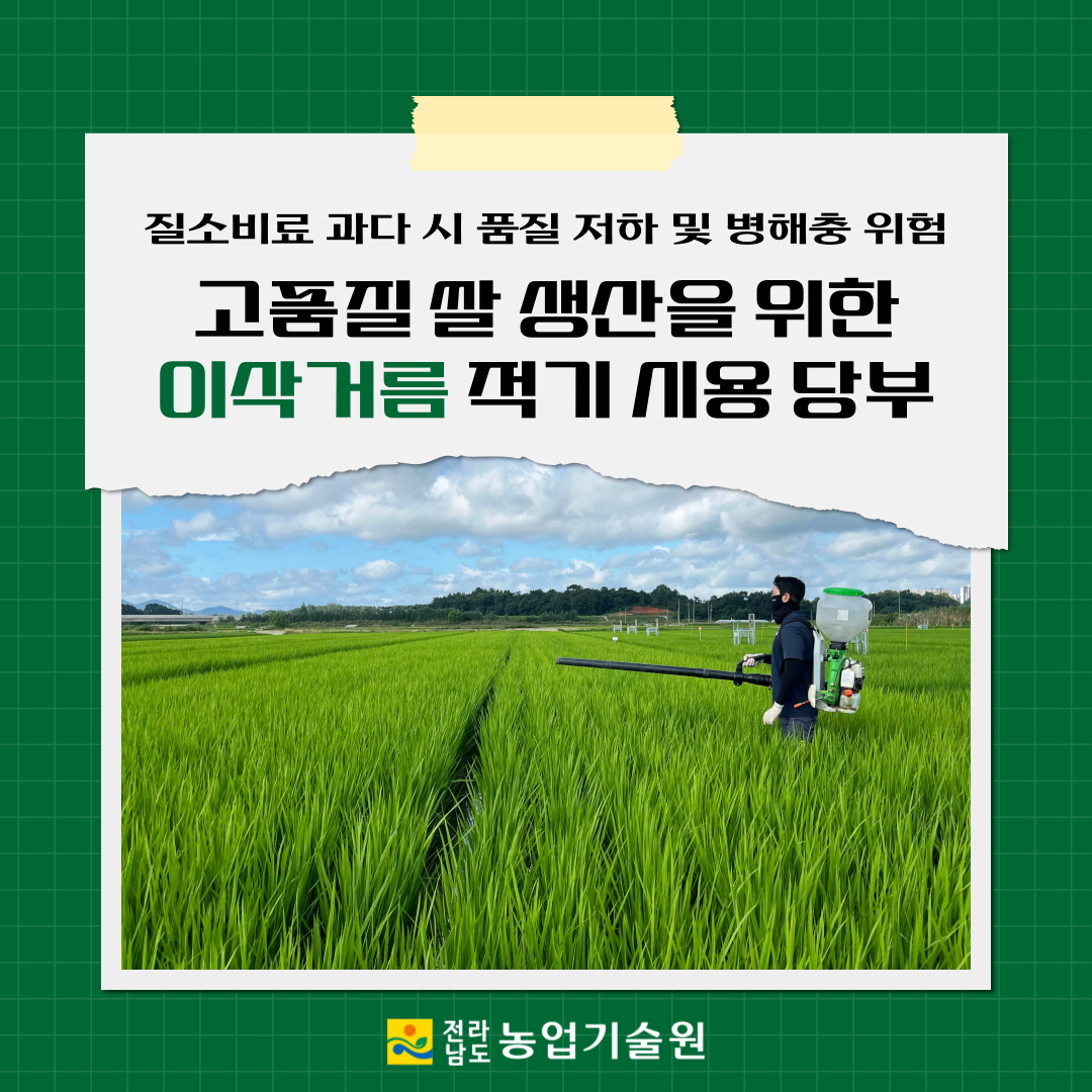 고품질 쌀 생산을 위한 ‘이삭거름’ 적기 시용 당부