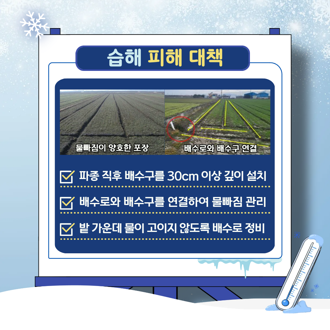한파·동해·습해 대비 맥류 안전 월동 관리 요령