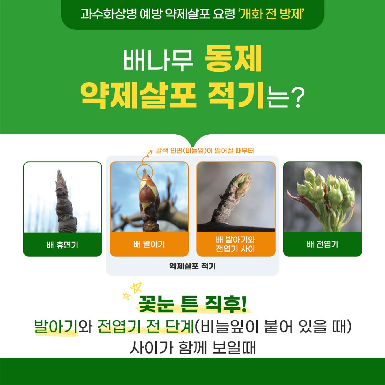 과수화상병 예방을 위한 적기 약제살포(개화전)