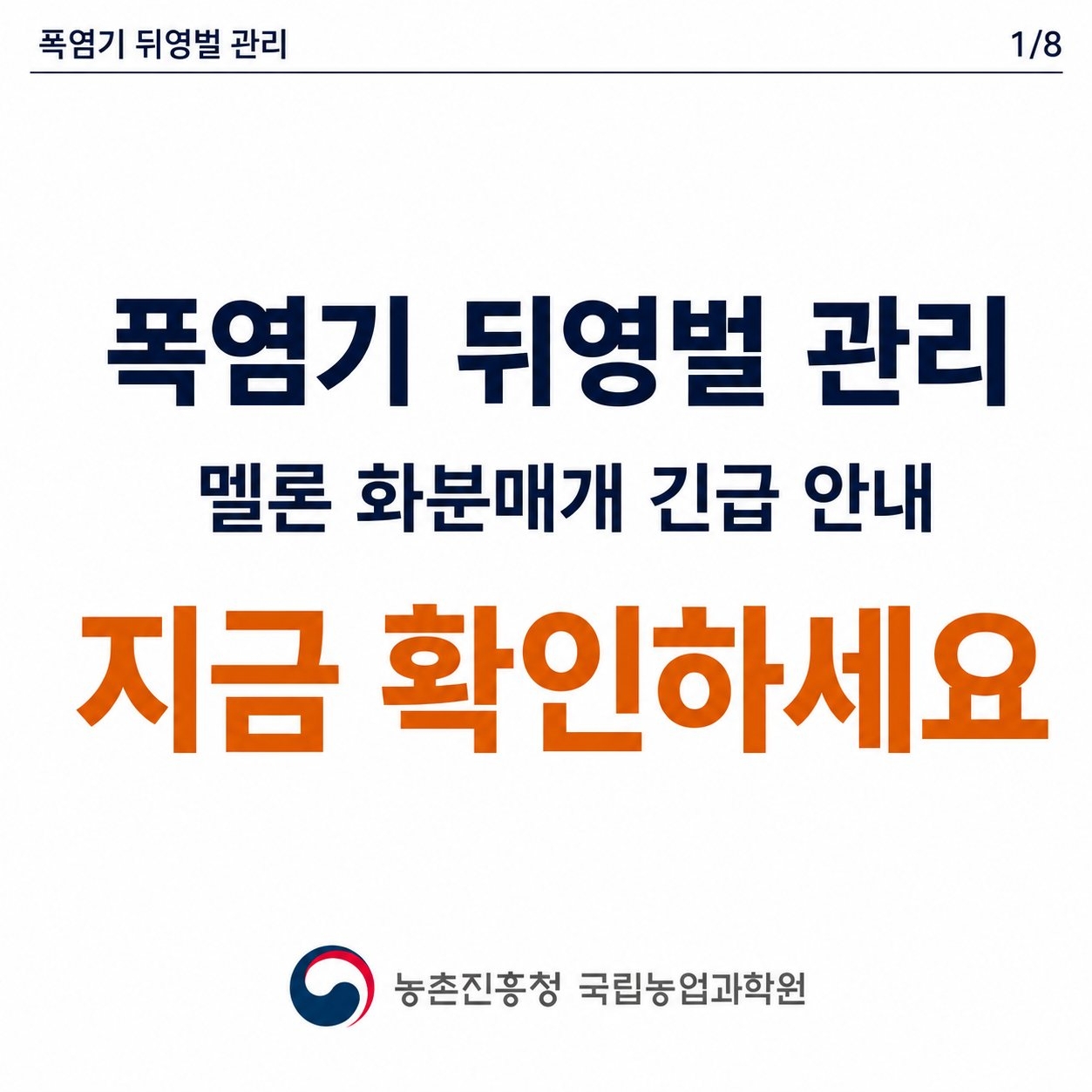 폭염 대비 시설작물에서 뒤영벌 관리 요령