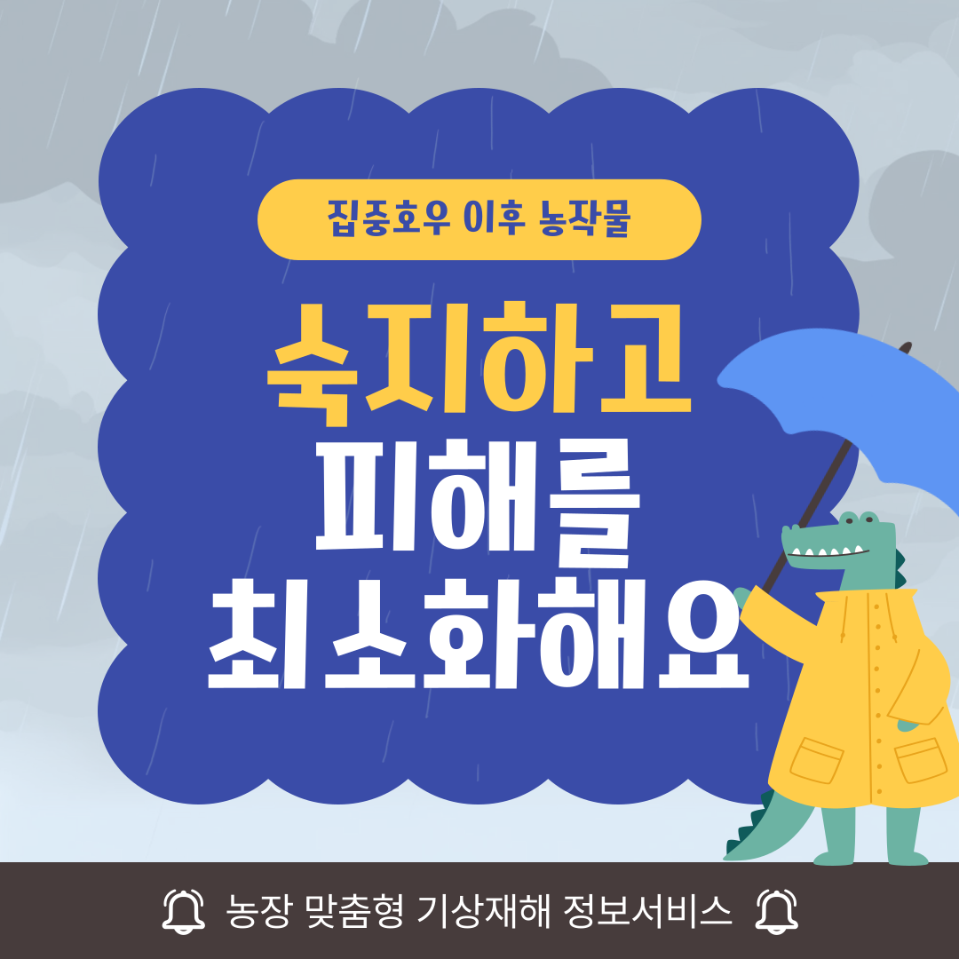 집중호우 이후 농작물 피해 최소화 당부