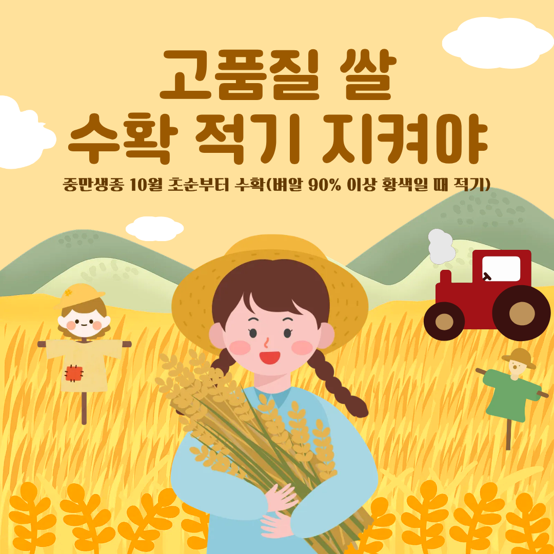 고품질 쌀 ‘수확 적기’ 지켜야