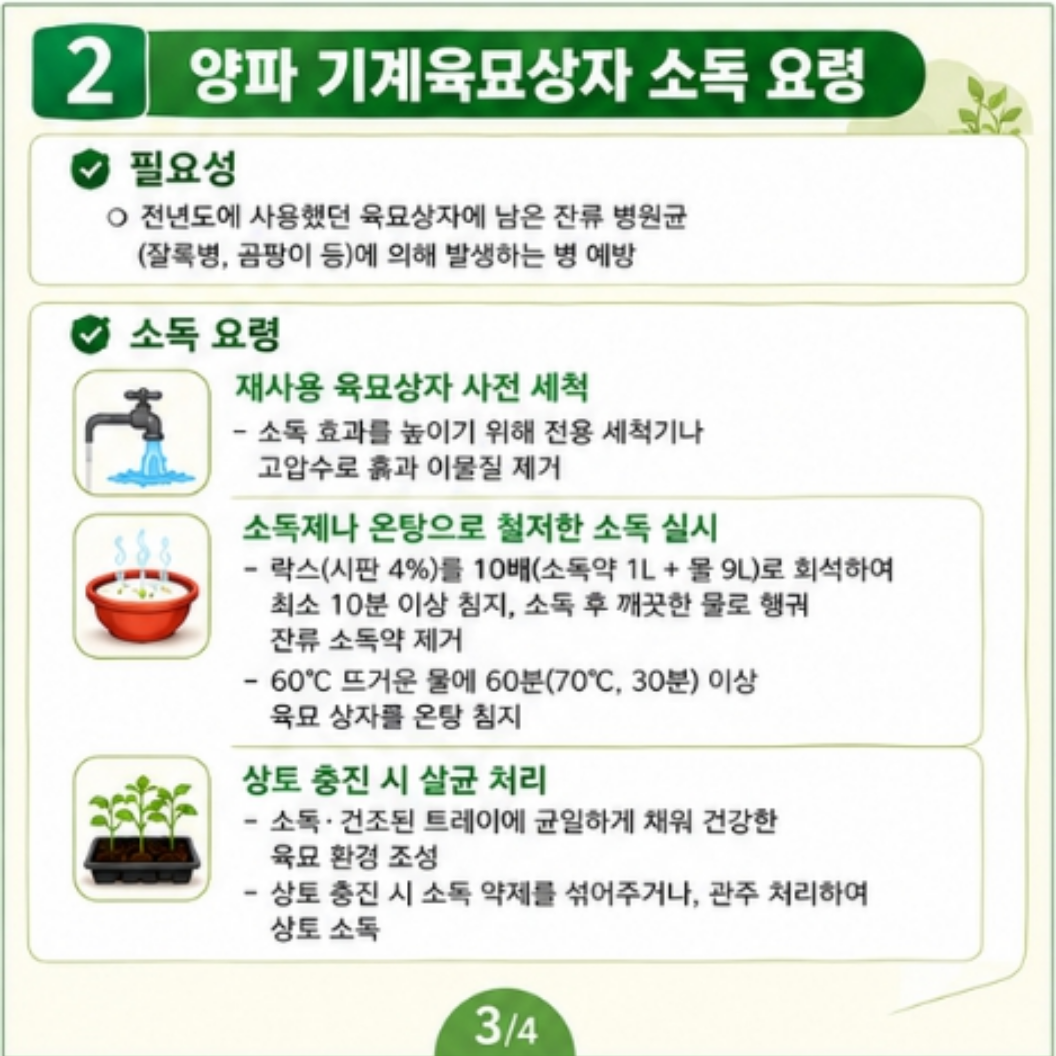 고품질 양파를 위한 토양, 육묘상자 소독 요령