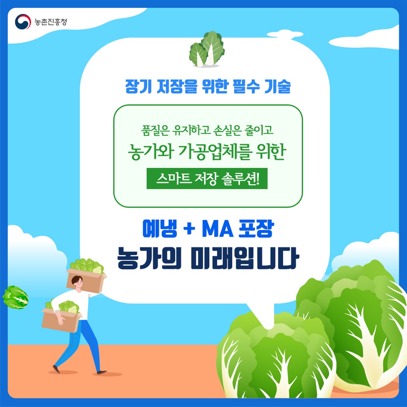 배추 장기저장을 위한 예냉 및 MA 포장 기술효과