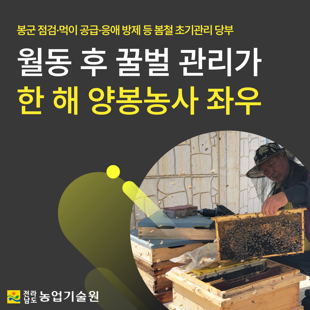 월동 후 꿀벌 관리가 한 해 양봉농사 좌우