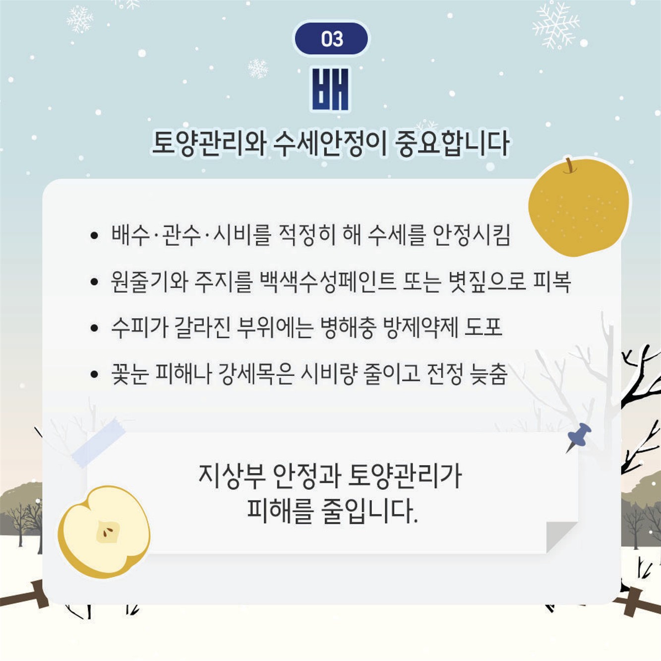 동해 예방을 위한 겨울철 과수원 관리 요령