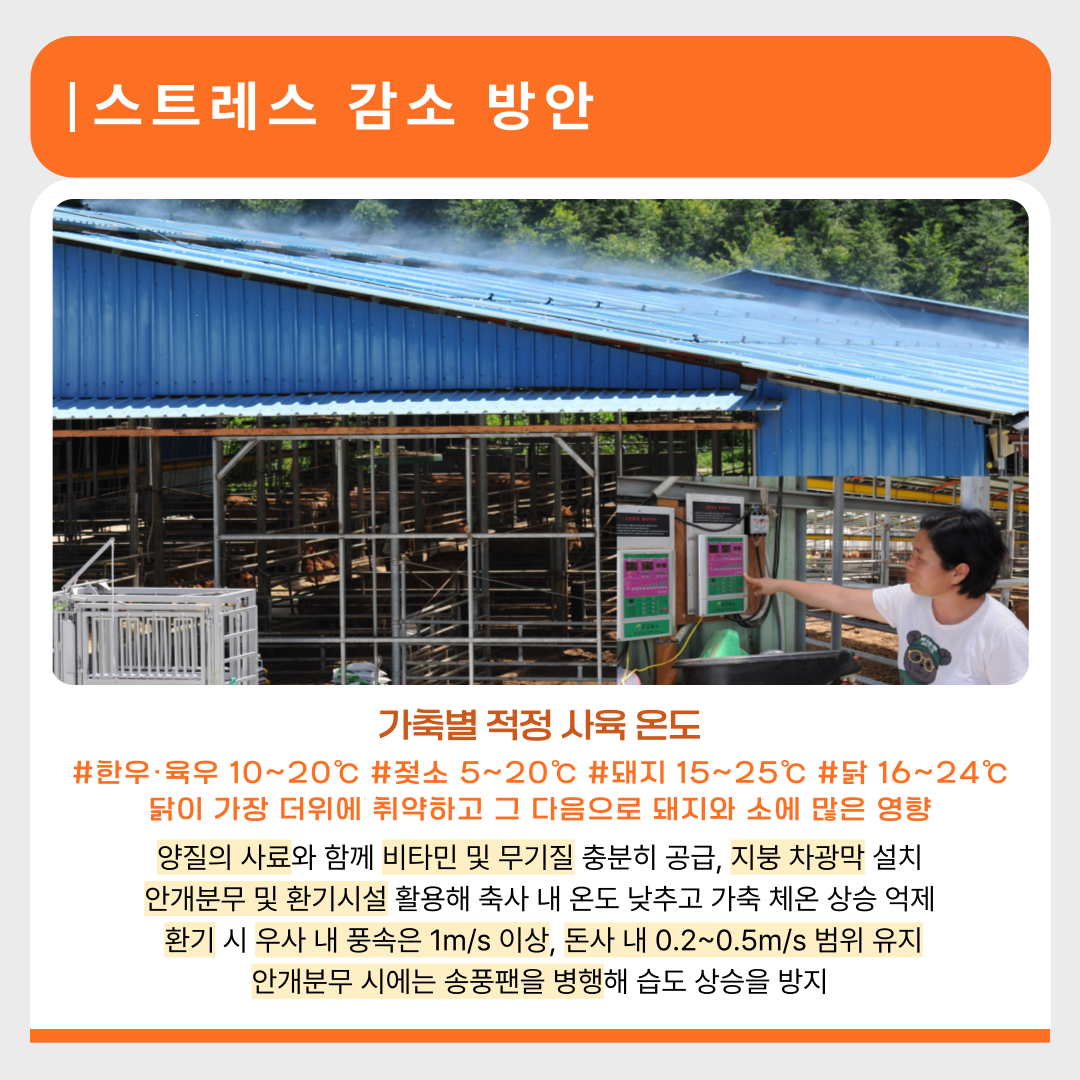 여름철 가축 고온 스트레스 예방 당부