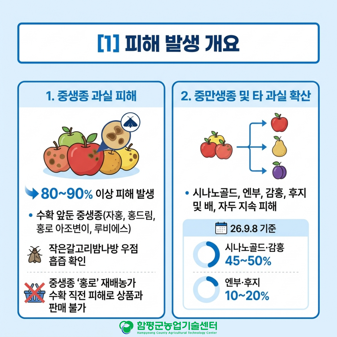 사과 흡수나방 특성 및 대응 방안