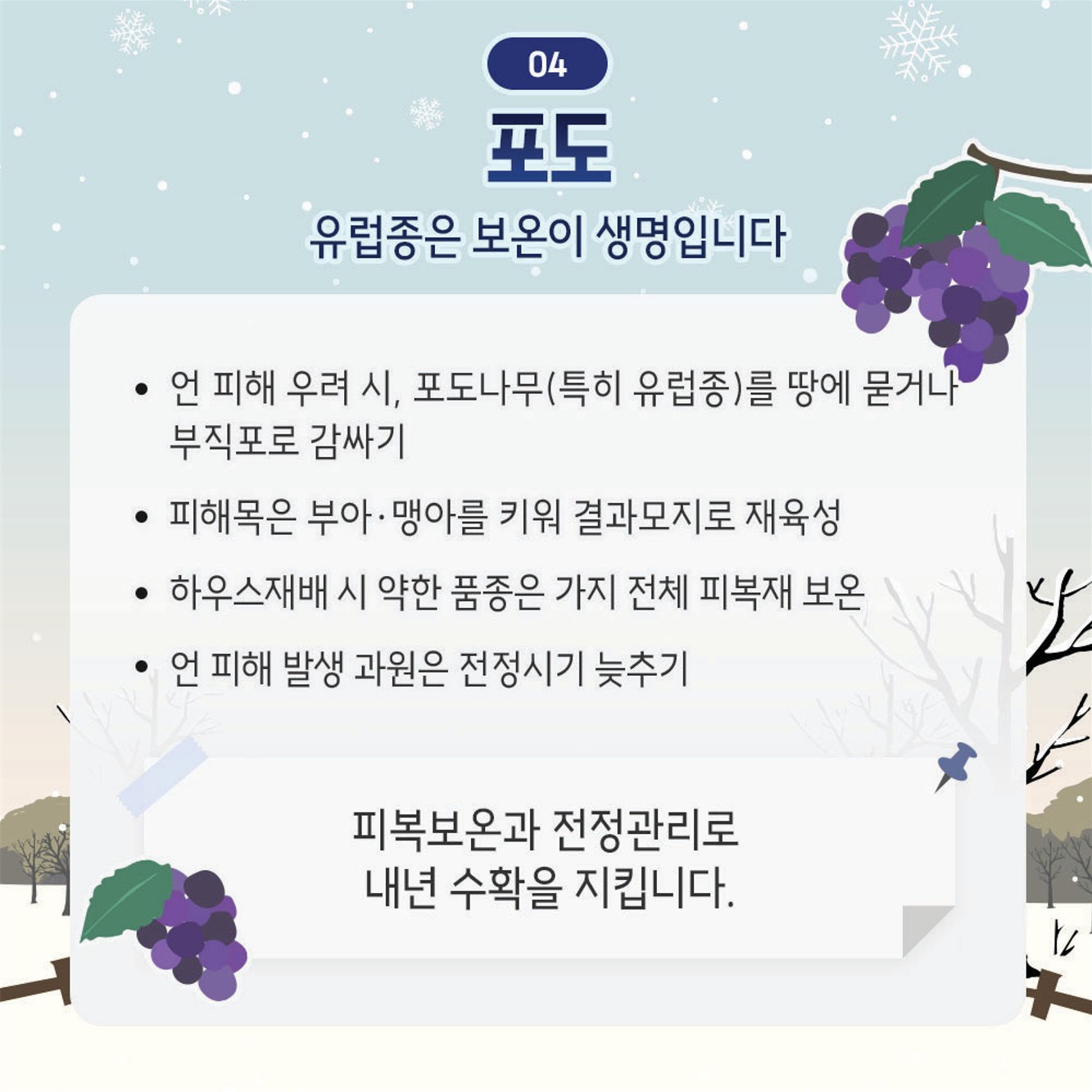 동해 예방을 위한 겨울철 과수원 관리 요령