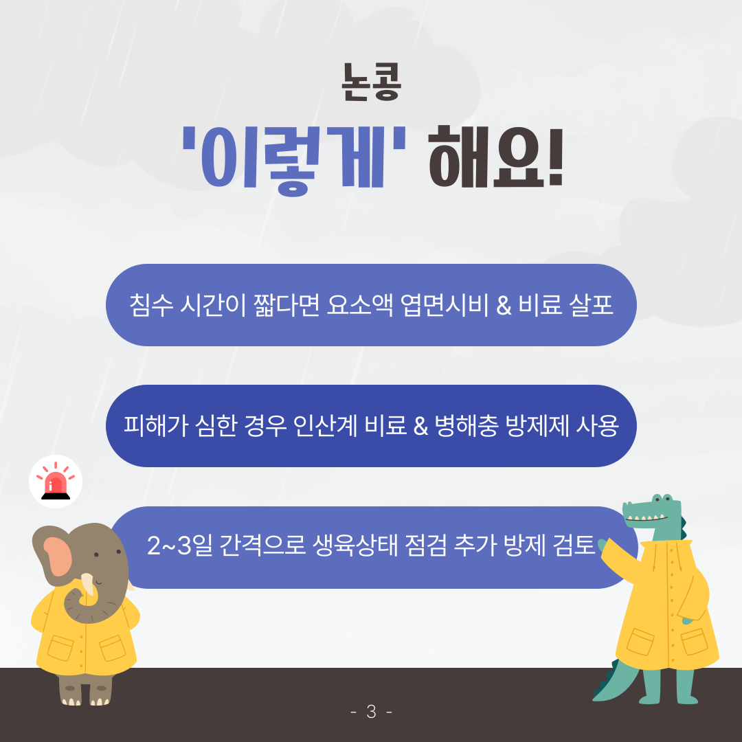 집중호우 이후 농작물 피해 최소화 당부