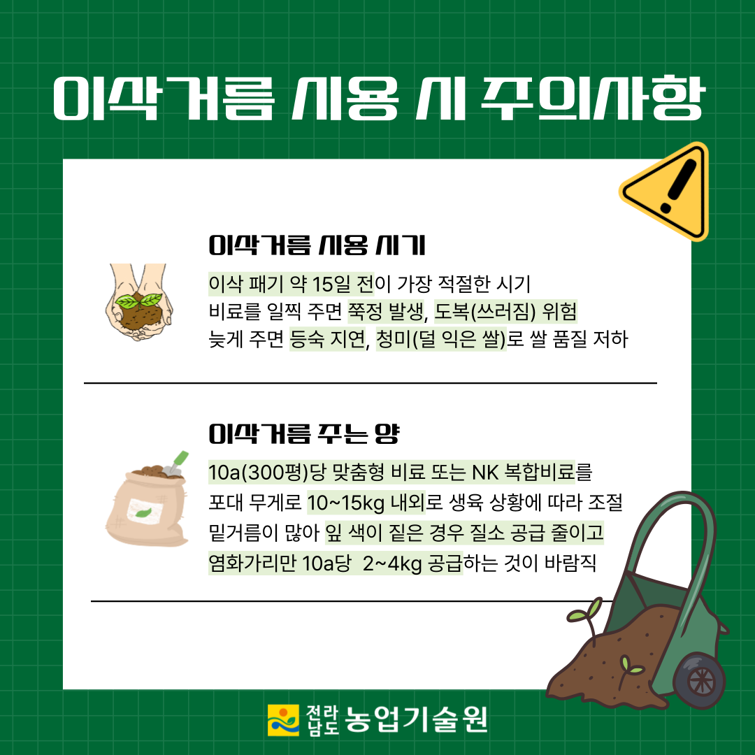 고품질 쌀 생산을 위한 ‘이삭거름’ 적기 시용 당부