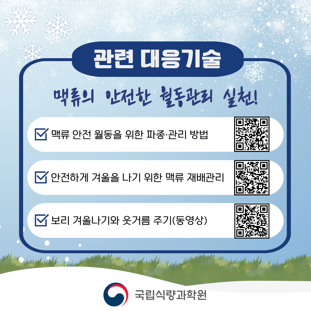 한파·동해·습해 대비 맥류 안전 월동 관리 요령