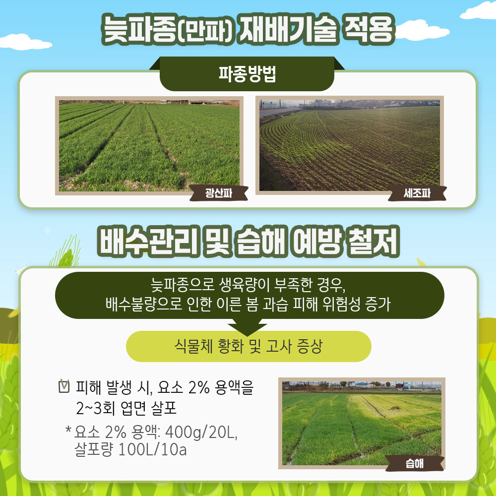 맥류 늦파종(만파) 재배기술