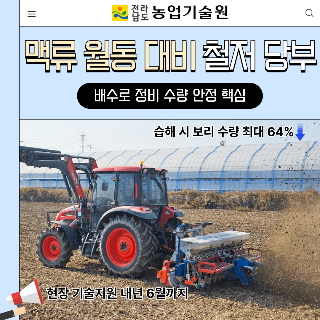 맥류 월동 대비 철저 당부...배수로 정비가 수량 안정 핵심