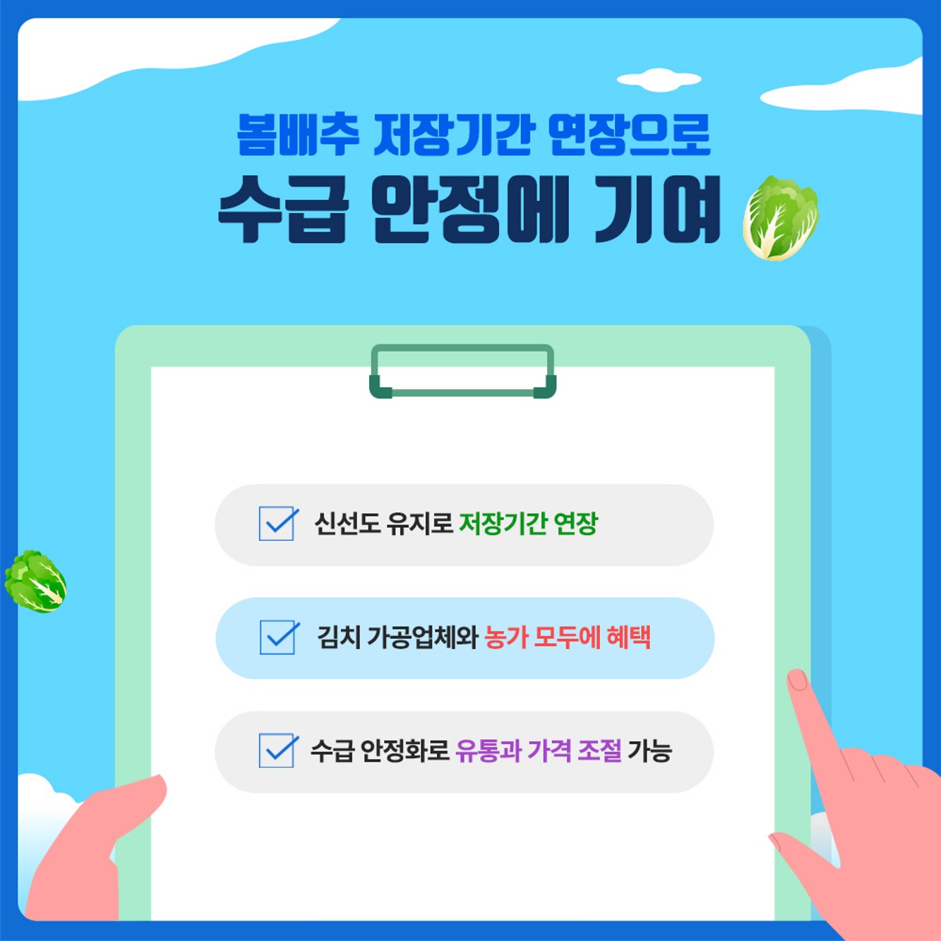 배추 장기저장을 위한 예냉 및 MA 포장 기술효과
