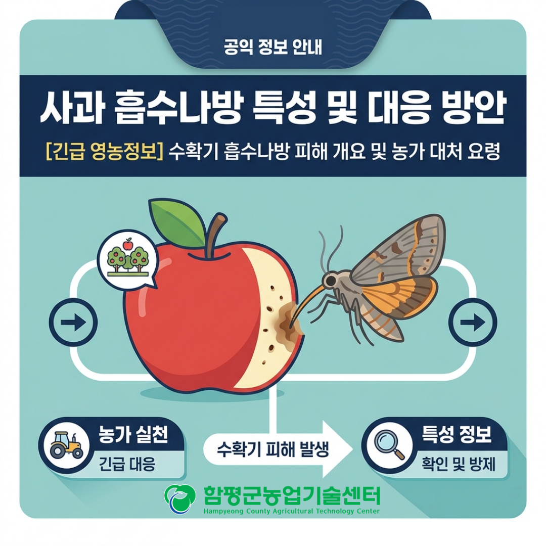 사과 흡수나방 특성 및 대응 방안