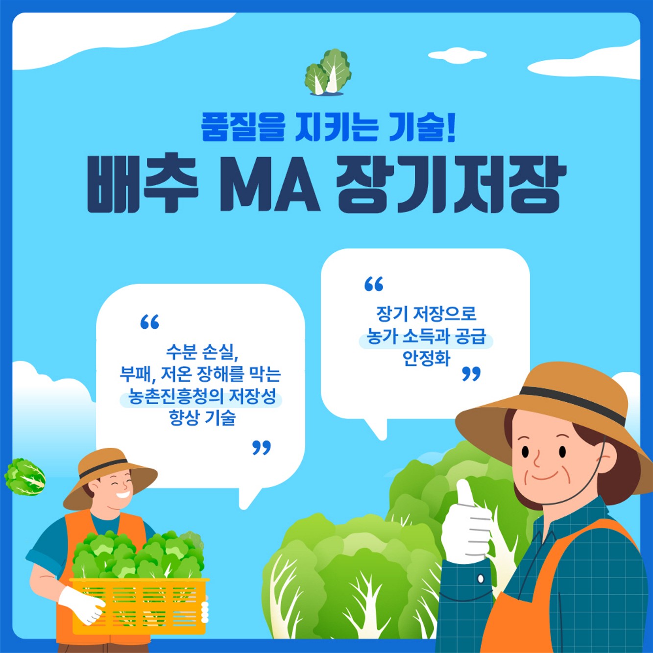 배추 장기저장을 위한 예냉 및 MA 포장 기술효과