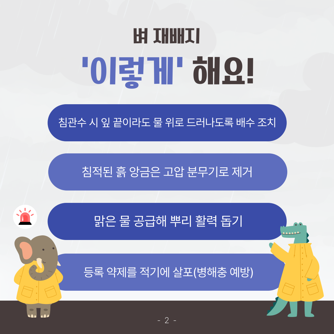 집중호우 이후 농작물 피해 최소화 당부