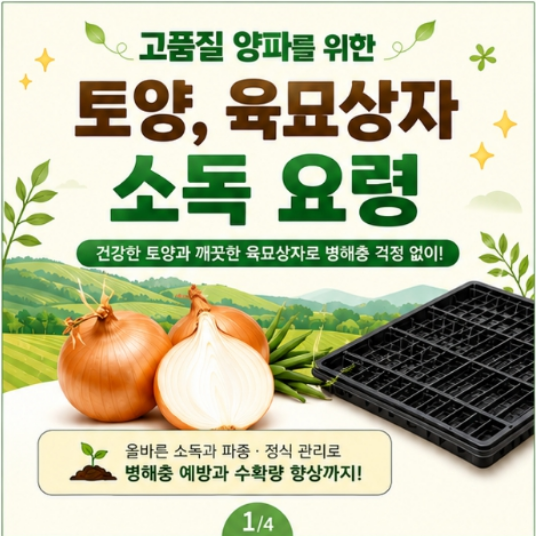고품질 양파를 위한 토양, 육묘상자 소독 요령