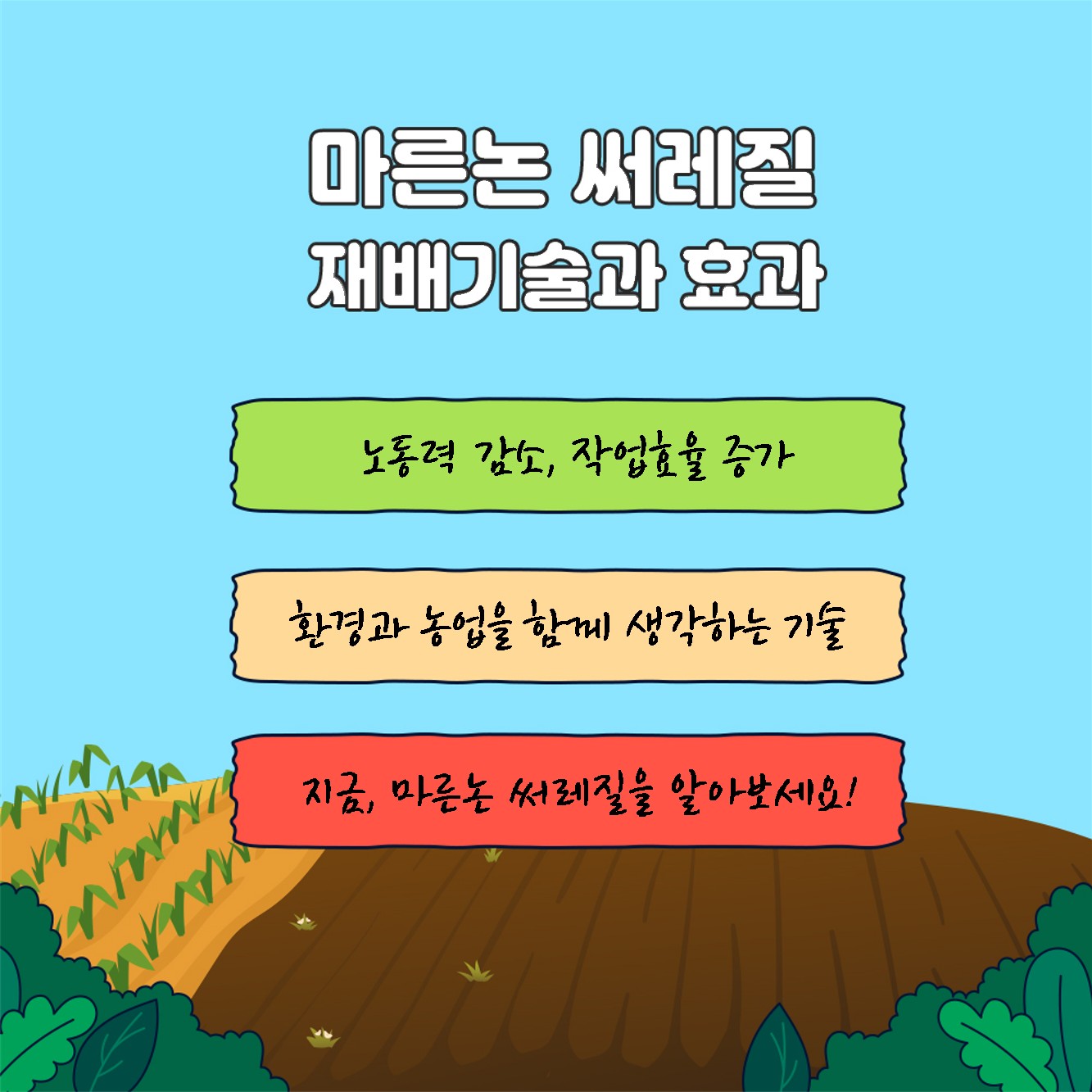 마른논 써레질 재배기술과 효과