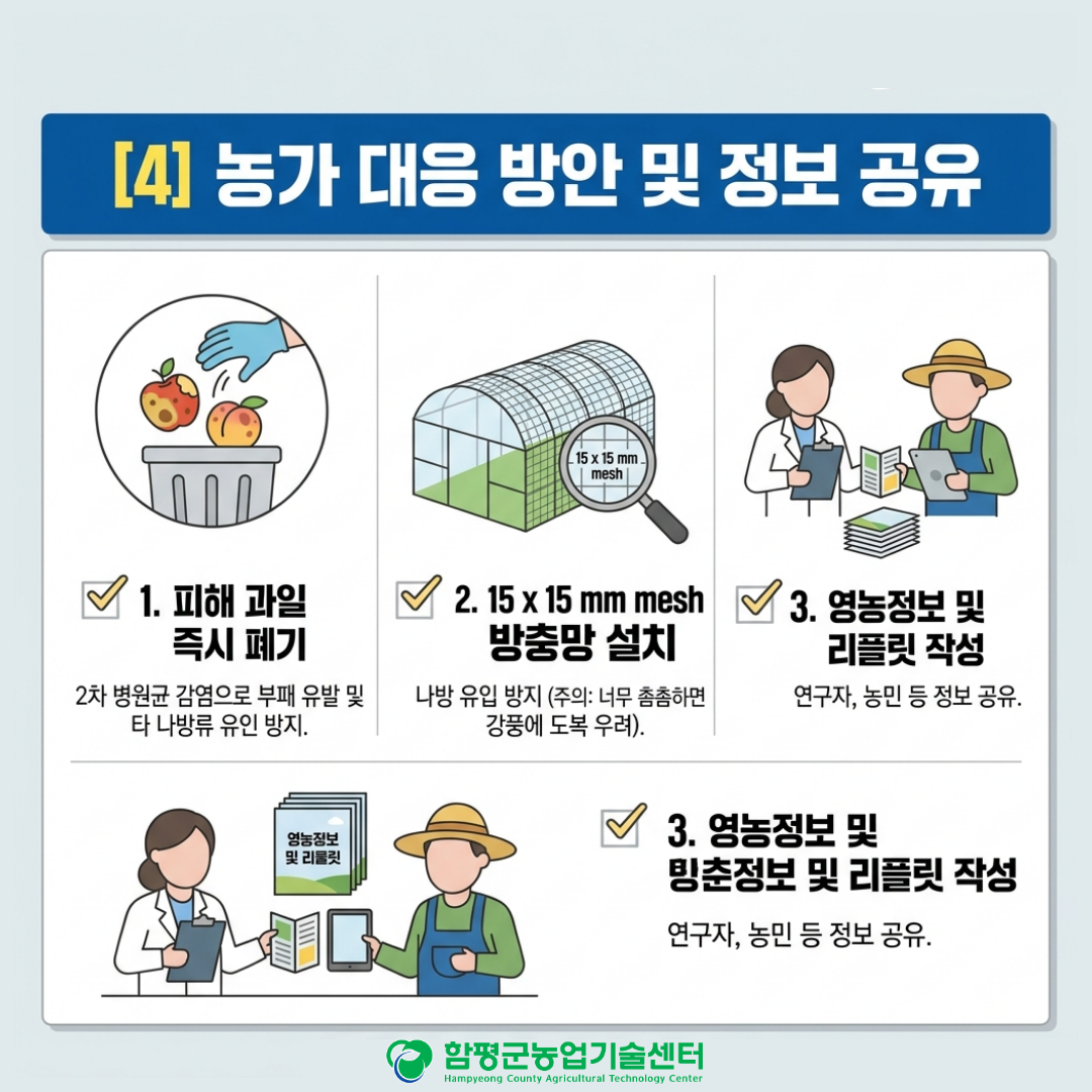 사과 흡수나방 특성 및 대응 방안