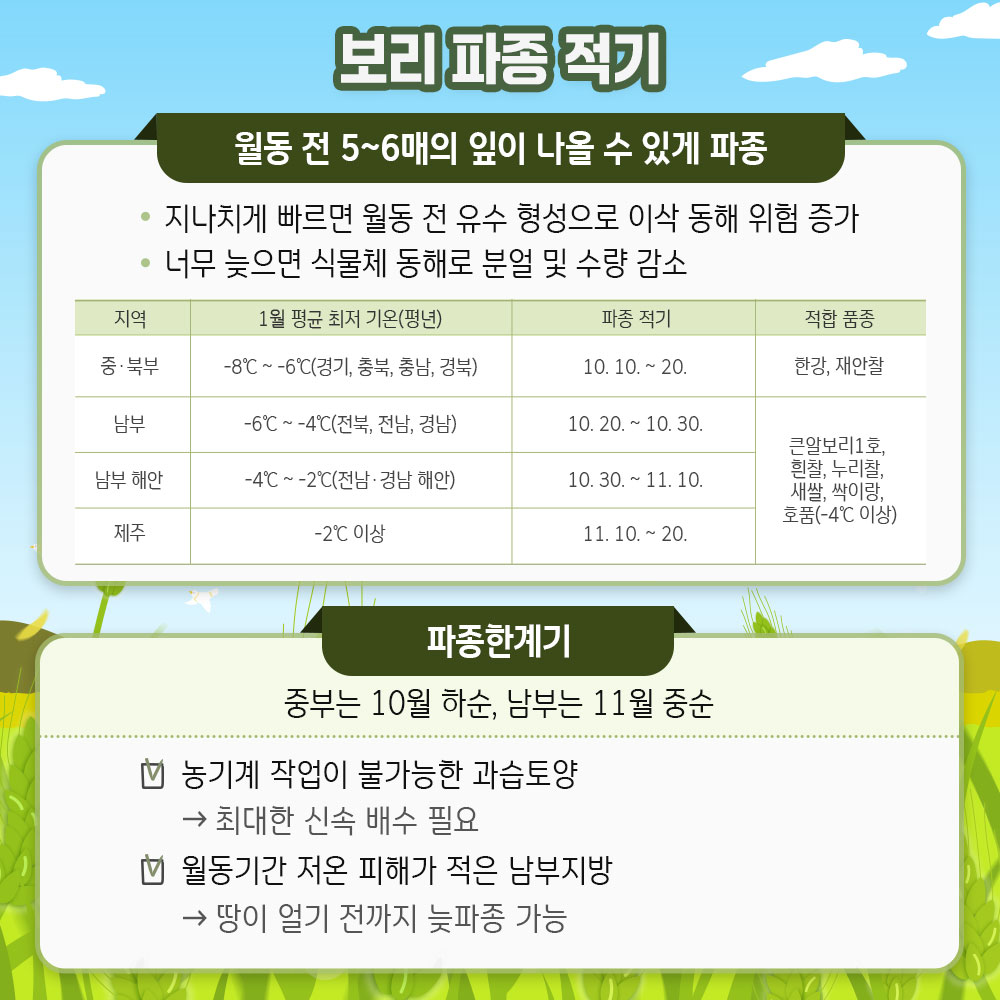 맥류 늦파종(만파) 재배기술