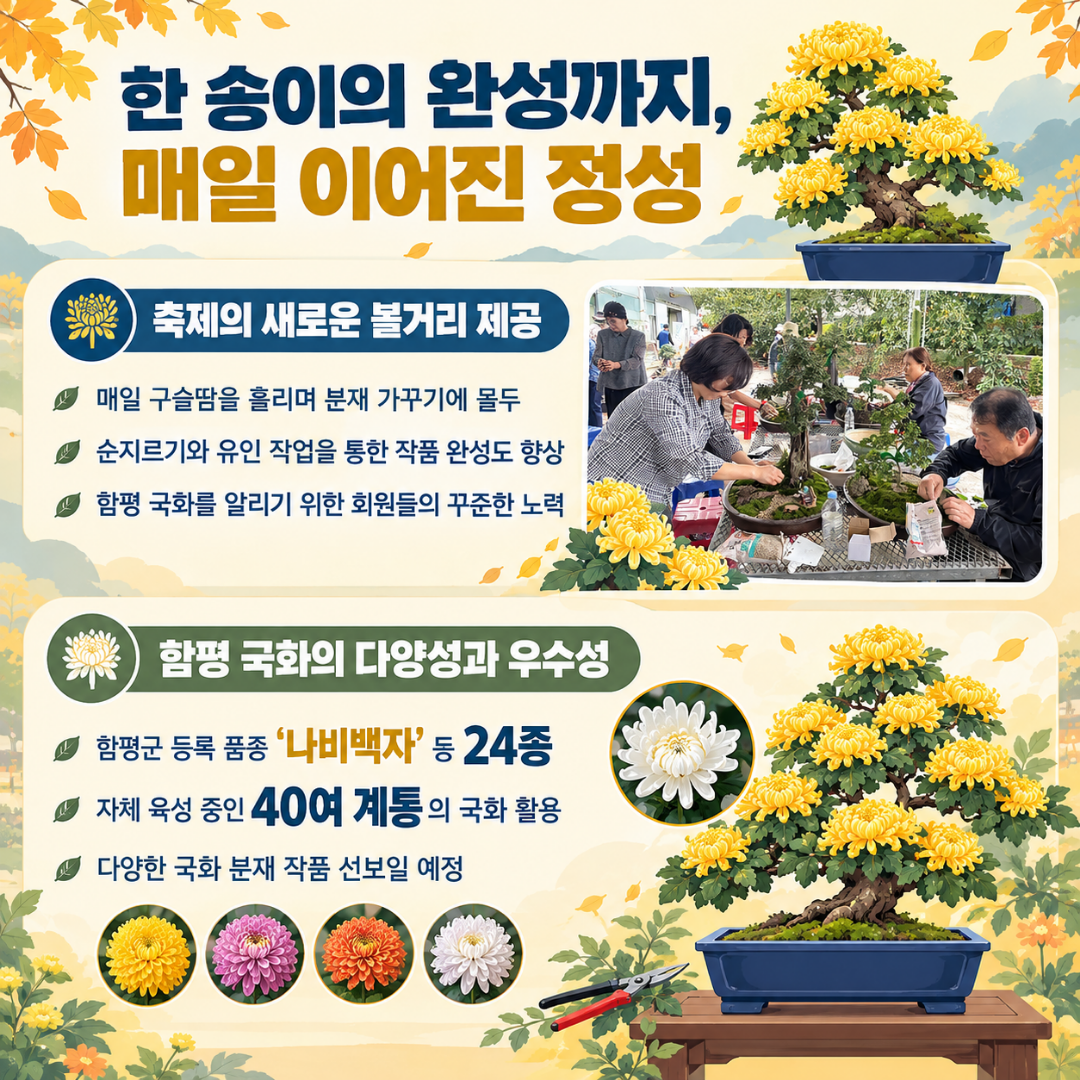 국화동호회 국향대전에서 열정 담은 국화분재 선보인다