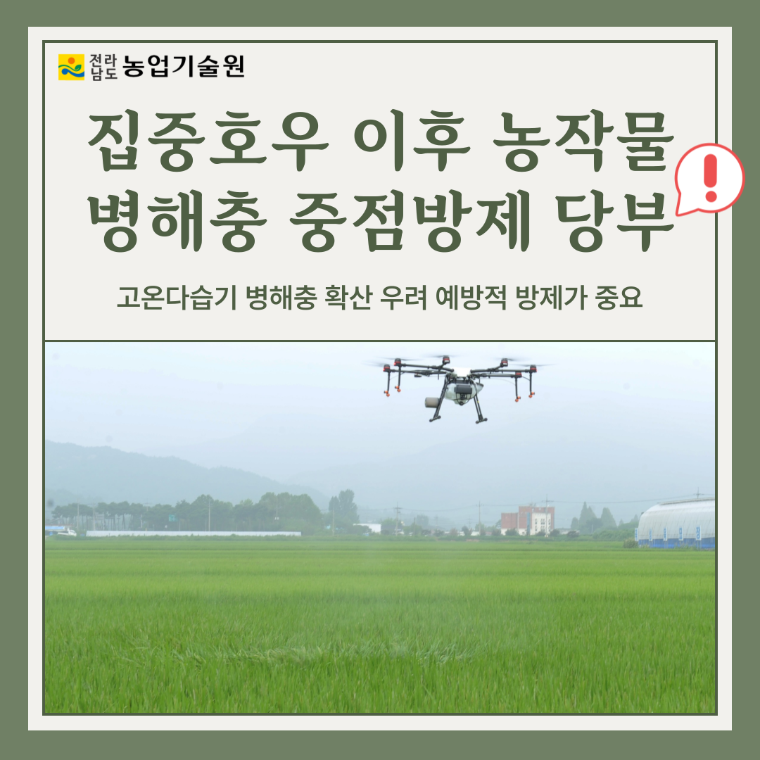 집중호우 이후 농작물 병해충 중점방제 당부