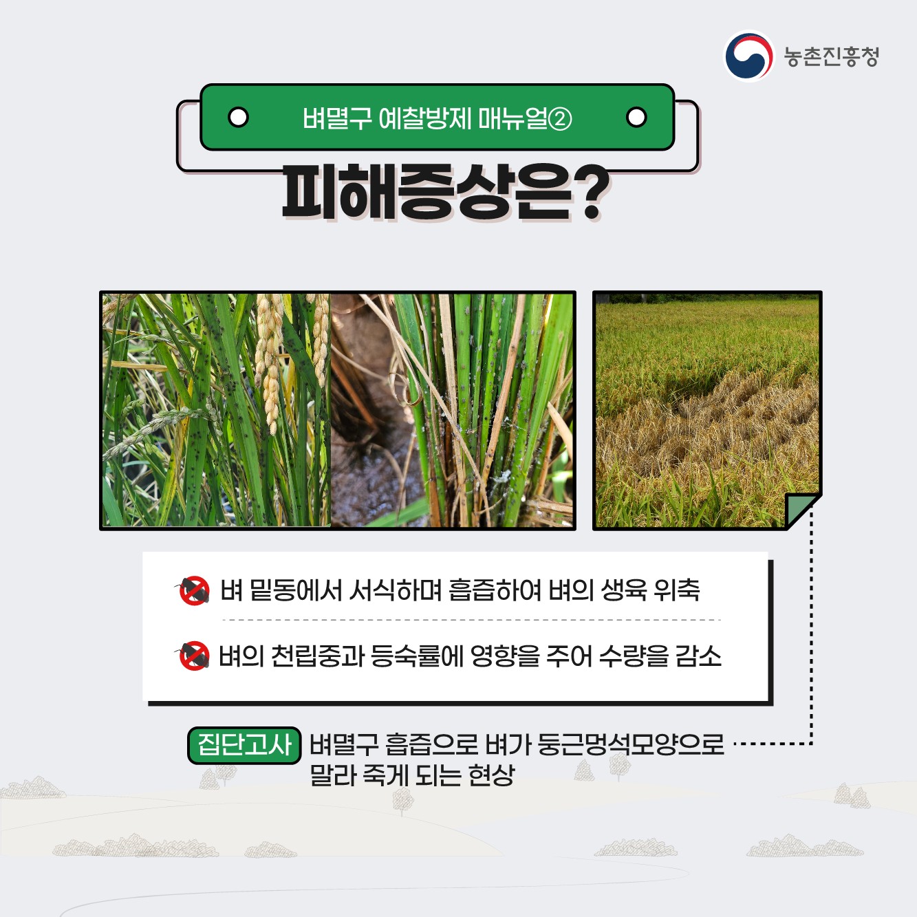 벼멸구 예방 농업인 준수사항