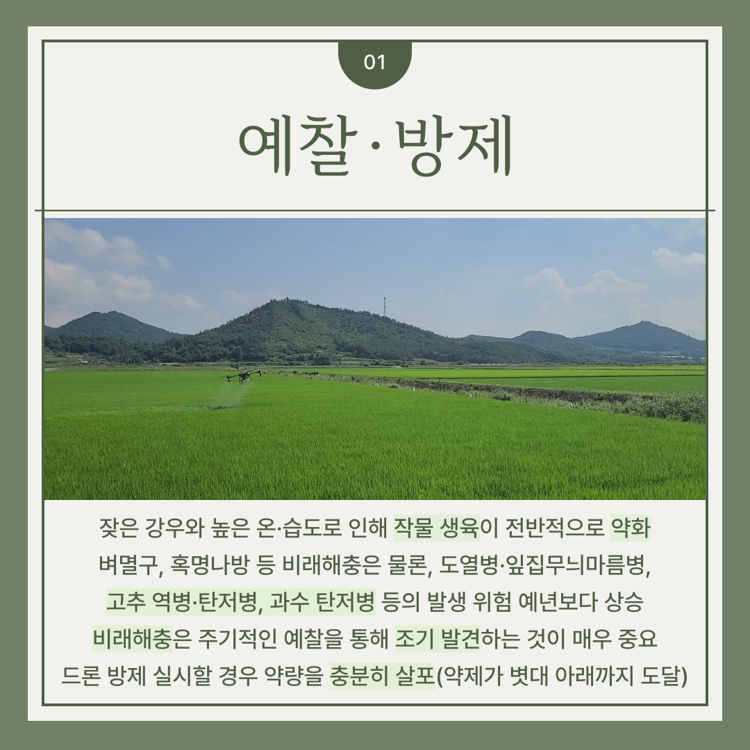 집중호우 이후 농작물 병해충 중점방제 당부