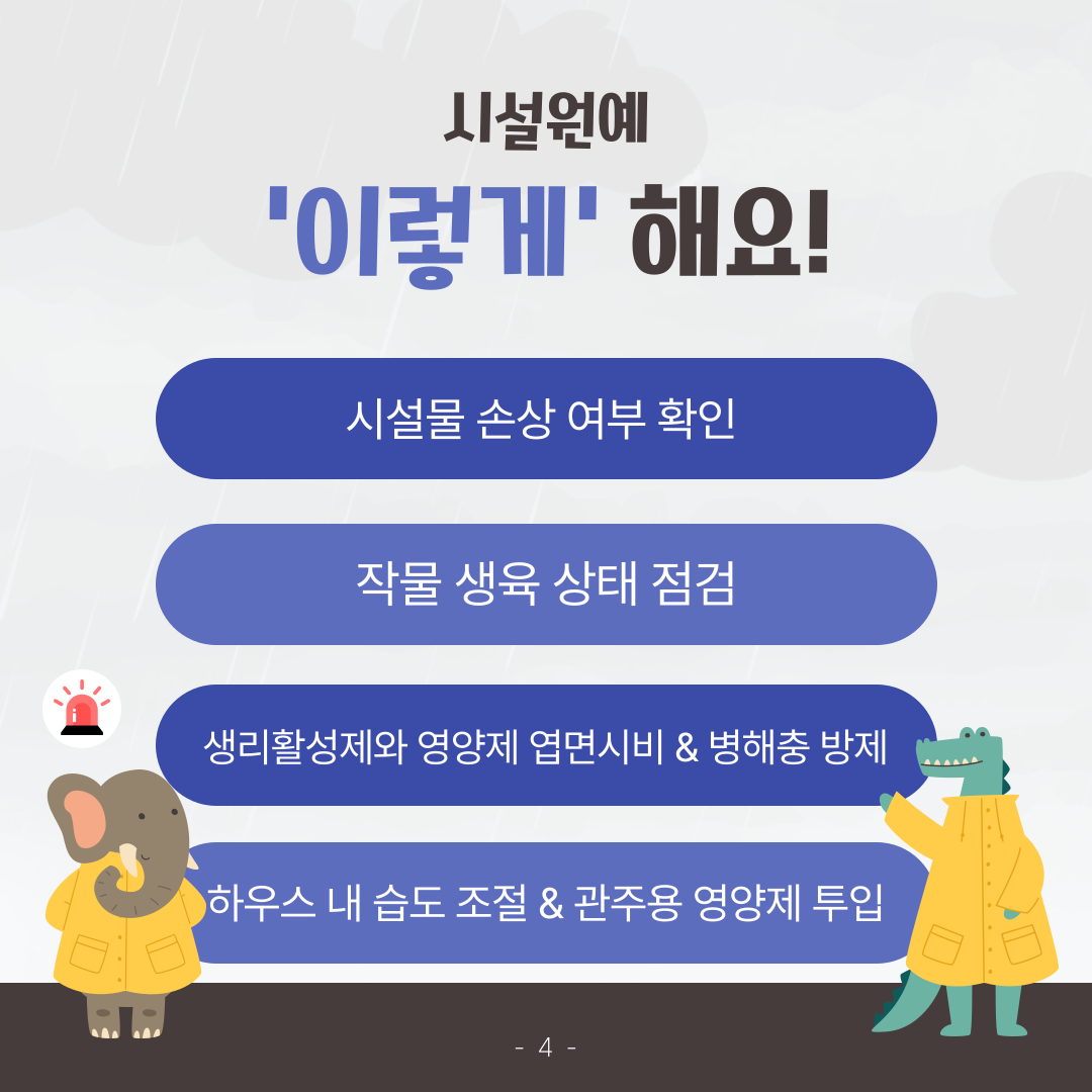집중호우 이후 농작물 피해 최소화 당부