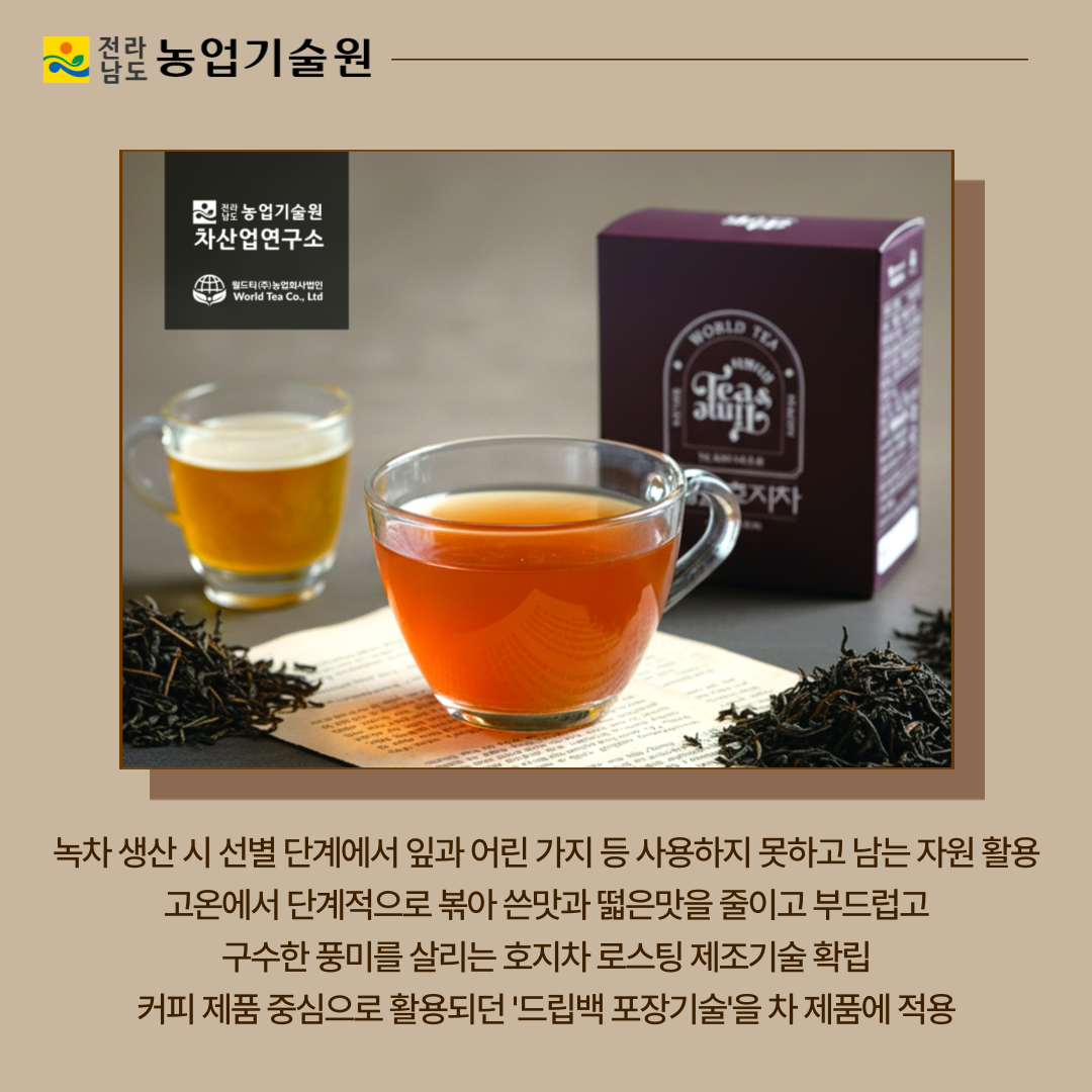 녹차 미활용 자원으로 ‘호지차 드립백’ 개발