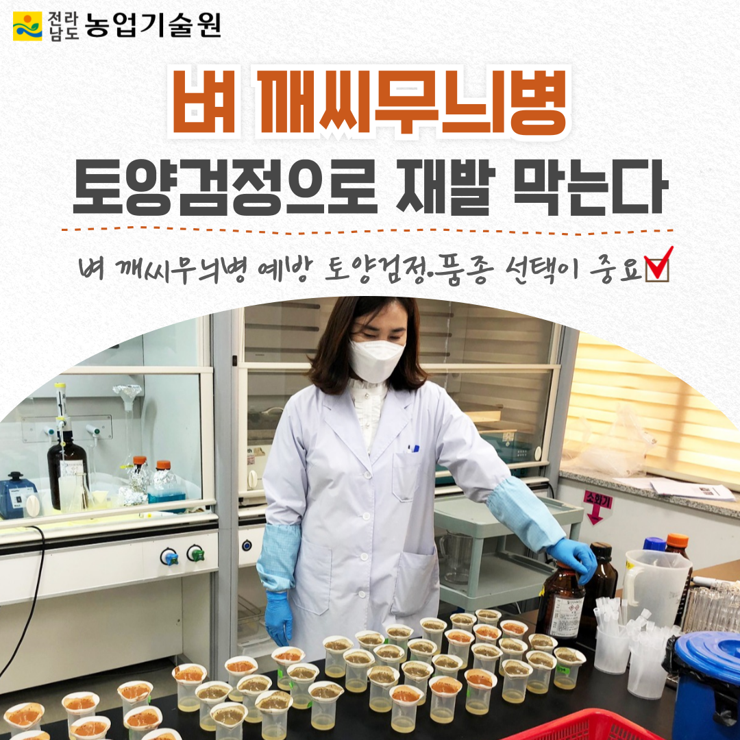 벼 깨씨무늬병 토양검정으로 재발 막는다