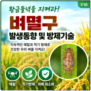 벼멸구 발생동향 및 방제기술