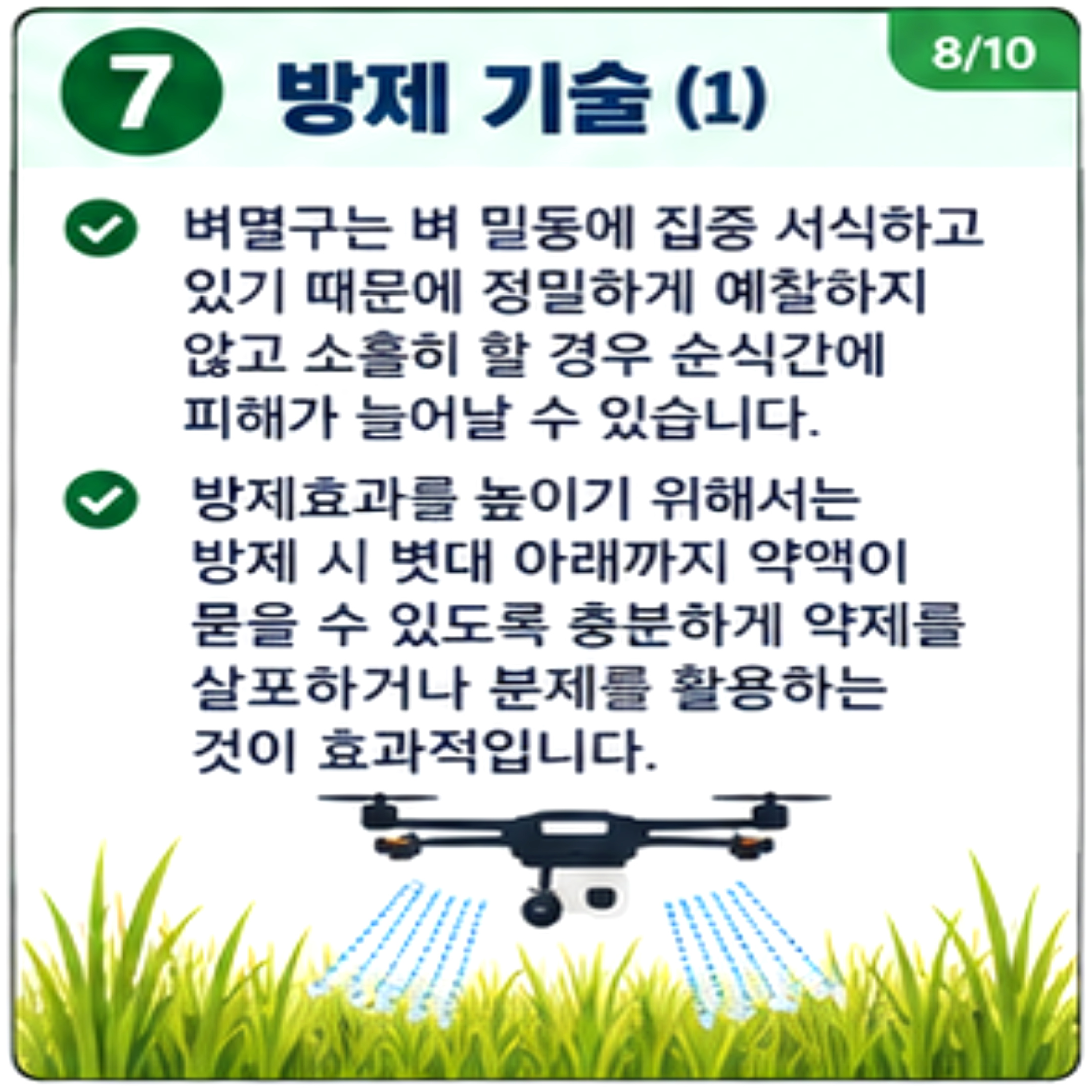 벼멸구 발생동향 및 방제기술