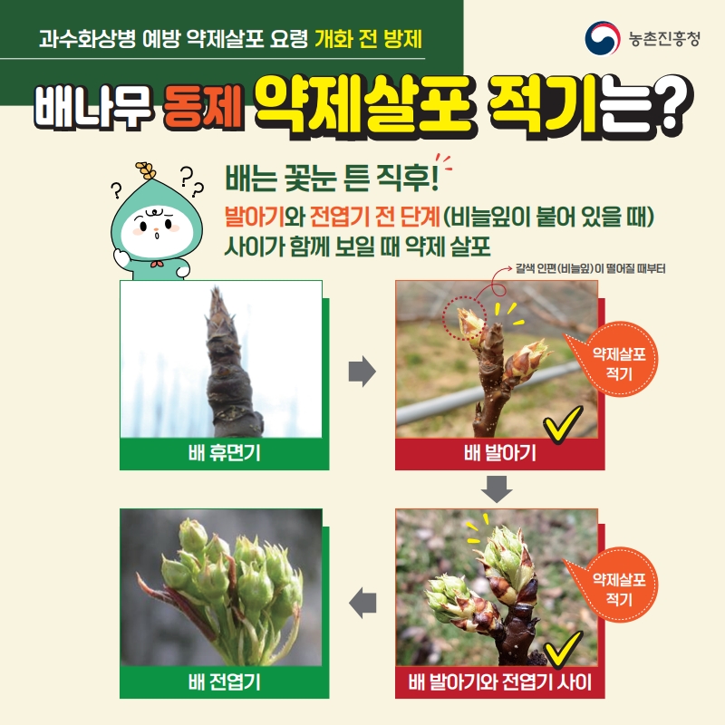 과수화상병 예방 약제살포 요령(개화 전)